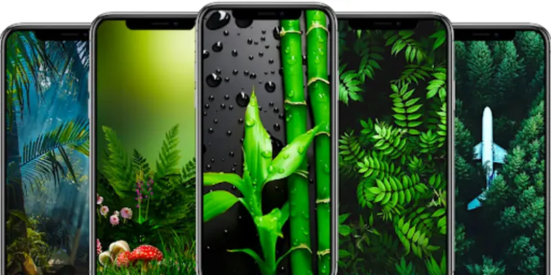 Nature Wallpapers android App screenshot 4